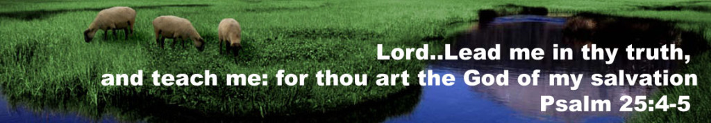 Lord..Lead me in thy truth, and teach me: for thou art the God of my salvation Psalm 25:4-5